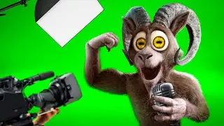 [BEHIND THE SCENES]  The Ram - Sugar Daddy (99 Nights official song)