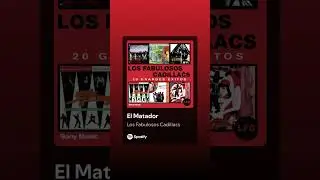 Los Fabulosos Cadillacs - El Matador.