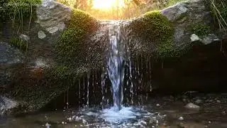 ASMR Waterfall Sounds - Calm Morning Ambience | No Music | 8K