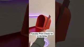Проверка качества печати во вторник! 10.02.2026 @overture_3d @ElegooOfficial @BambuLab