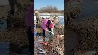 Frozen River Ice Fishing 😱 Big Fish Catch Under Ice