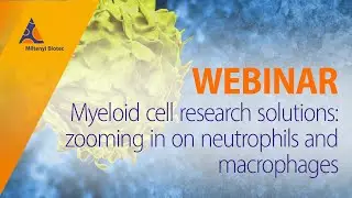 Myeloid cell research solutions: zooming in on neutrophils and macrophages [WEBINAR]