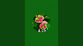 దేవిక బుజ్జీ గర్డెన్..... is live