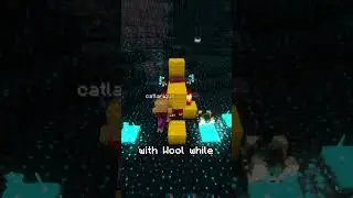 Defeating The Warden With This Simple Wool Trick.