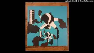 Fontaine Wallace - Une Odys&eacute;e