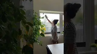 Pre-fall window reset #windowcleaning #cleantok #fyp #cleaning #cleaningmotivation #cleanwithme