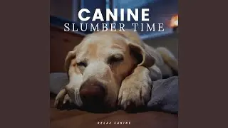 Pup Wellness