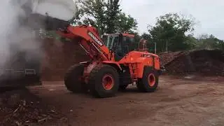 Making Natural Hemlock Mulch - No Dyeing Required