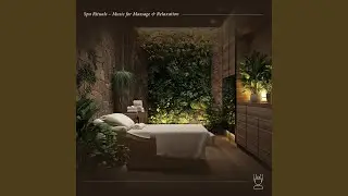 Peaceful Treatment Room
