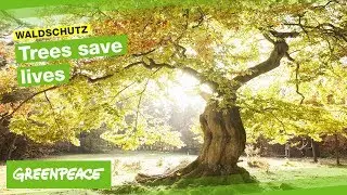 Trees Save Lives