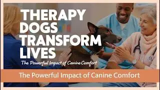 How Therapy Dogs Transform Lives: The Powerful Impact of Canine Comfort