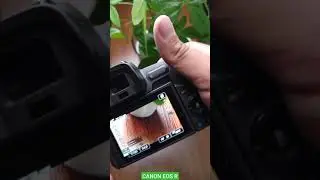 How to enable slow motion video in canon eos r / tutorial  #canon #canoneosr #slowmotion