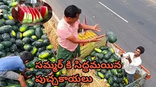 MOST POPULAR WATERMELON VENDOR IN SIDDANTHAM |FRUITNINJA