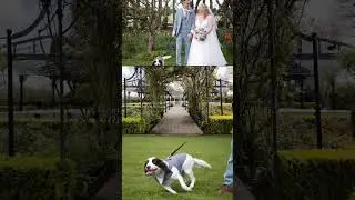 An Old Kent Barn wedding / Kent Wedding Videographer