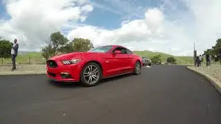 National mustang day 2018