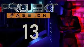 Projekt Passion #13 Blind Visual Novel Lets Play