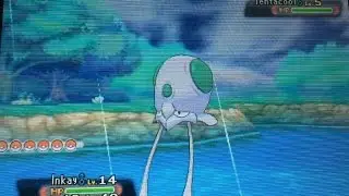 Блестящий Тентакул на цепочке ВСЕГО из 7 штук! [Omega Ruby]