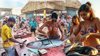 Top Fish Cutting Moments | Village Fish Market Compilation | Master Cutter Skills!