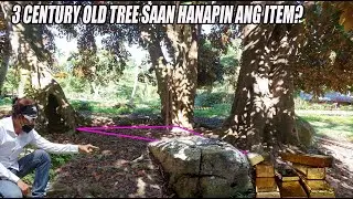 TREASURE NAKABAON SA 3  CENTURY OLD TREE!!