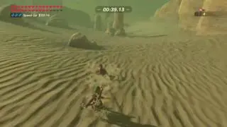 Breath of the Wild - Sand Seal Race in 1:14.64