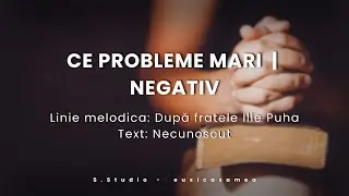 Ce Probleme Mari se pun astazi in viata | NEGATIV