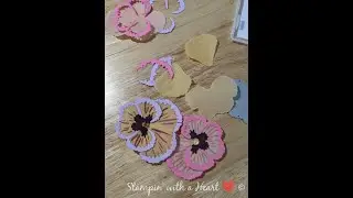 Pansy Petals suite