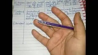 difference between business,profession and employment#class11