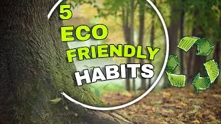 5 Eco FRIENDLY HABITS You Need To Follow