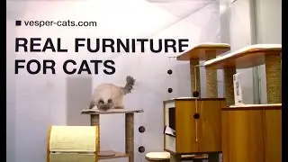 Vesper Cat Furniture at CatCon 2017