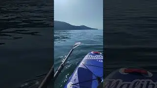 Sup доска Малибу 10.6