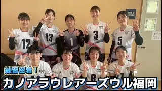【密着取材企画】カノアラウレアーズ福岡サテライトチーム　カノアウル福岡編