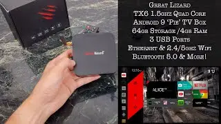 $60 Android 9 TV Box Review by Great Lizard TX6 Allwinner Processor 64GB Storage