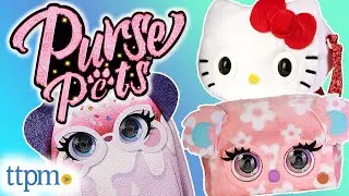 Кошелек для домашних животных: забота о себе, идеальная печать и Hello Kitty and Friends из обзора Spin Master!