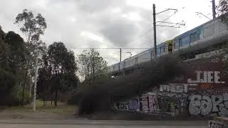 Comeng passing over B-class tram near Royal Park
