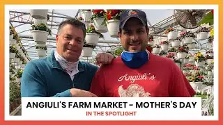 Angiuli's Farm Market - May 10, 2020