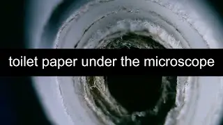 Туалетная бумага под микроскопом. Максимальное увеличение 640х  // invisible world