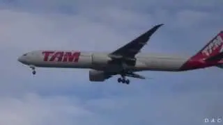 Resuming of vieo upload: TAM 77W!