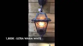 Fusion LED Flicker Flame Lamp