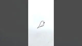 how to draw bird| cute bird line art| #drawing #shorts