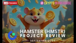 HMSTR GateIO Premining Guide Review - Live & Interactive!!! @GateExchange