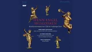 Gagliarde (Weltliche Musik - Musikinstrumente von 1594 im Freiberger Dom)