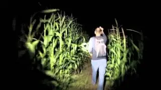 nightcache