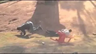 Gato harania(14)