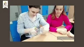 Науковий STEM-проєкт учнів ліцею «Престиж»