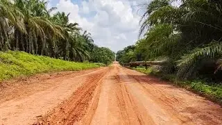 Harga TBS sawit semakin menanjak, petani sawit sukses kedepannya, full senyum 🫣