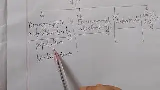 process of extinction mark shaffer 4 interacting factor ( demographic, environmental, genetic etc)