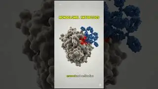 Why Monoclonal Antibodies Changed Medicine 💊 #biotech #science #biology