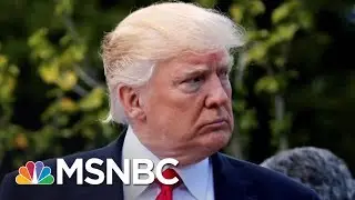 President Donald Trump Hires New Lawyer To Combat Robert Mueller Investigation | MSNBC