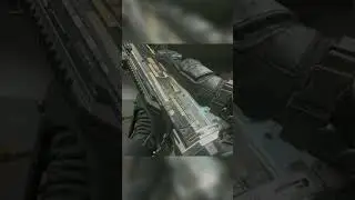 Weapon Inspection 