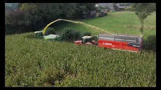 Ensilage de maïs 2025